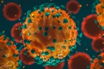 coronavirus India updates, coronavirus deaths, 37 875 new coronavirus cases reported in india, Icmr