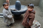 pulwama temples, pulwama news, muslims in pulwama join hands with pundits to restore 80 year old temple, Maha shivratri