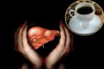 Hepatic Cancer treatment, Coffee in protecting Livers, coffee consumption helps in protecting boozers livers, Coffee benefits