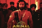 Animal for Filmfare, Animal movie, record breaking nominations for animal, Creative