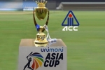 BCCI, BCCI, asia cup is canceled bcci president saurav ganguly, Asia cup 2020