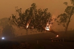 rains, Australia, australia fires warnings of huge blazes ahead despite raining, Gofundme
