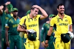 Australia Vs South Africa updates, Australia, australia enters world cup final 2023, International cricket