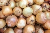 Black Fungus on Onions Sparks Discussion