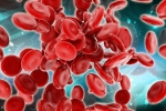 Blood Cells, Blood Cells, scientists generate blood forming stem cells, Stem cells