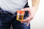 Hidden Kidney Cancer Risks tips, Hidden Kidney Cancer Risks breaking, spotting blood in urine can reveal hidden kidney cancer risks, Smoking