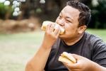 Bread for weightloss latest update, Bread for weightloss tips, will bread help in weightloss, Burger