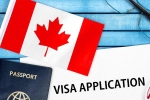Canada's study visa approvals for students of India, Canada's study visa approvals Indian students, canada s study visa approvals for indian students to drop by 50 in 2024, Federal government