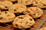 Biscuits Recipe, Tasty and Crunchy Chocolate Cookies Recipe, tasty and crunchy chocolate cookies recipe, Biscuits recipe