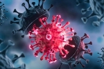 USA Coronavirus latest updates, USA Coronavirus news, delta variant makes usa tensed again, Pfizer