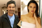 Triptii Dimri next film, Triptii Dimri breaking, dhanush to romance animal actress triptii dimri, Kartik aaryan