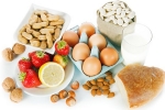 Students At Michigan State University Develops Edible Project app, Students At Michigan State University Develops Edible Project app, students at michigan state university develop free food allergy app, Michael copley