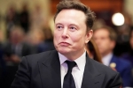 Elon Musk Epstein Files breaking, Epstein Files, elon musk named in new epstein files, Us justice department