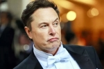 Elon Musk India visit pushed, Elon Musk India visit, elon musk s india visit delayed, Government
