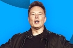 Elon Musk email, Elon Musk breaking updates, elon musk s new ultimatum to twitter staffers, Tesla
