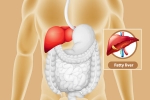 Fatty Liver symptoms, Fatty Liver tips, dangers of fatty liver, Maharashtra