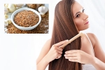 Flaxseeds health benefits, Flaxseeds for hair health, how flaxseeds can help for a long and healthy hair, Recipes