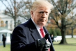 trump, national security, former u s senators warn of constitutional crisis under trump, 2016 presidential campaign