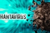 Hantavirus Has 38 Strains and 1 Spread to Humans