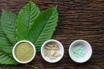 kratom, Pain Treating Herbal Supplement, this pain treating herbal supplement is not safe for use, Kratom