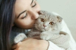 Cat Owner, cats pets, international cat day reasons why being a cat owner is good for health, Autism