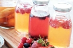 Kombucha and Fermented Foods benefits, Kombucha and Fermented Foods benefits, health benefits of kombucha and fermented foods, Health benefits