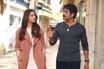 Manmadhudu 2 Movie Tweets, Manmadhudu 2 telugu movie review, manmadhudu 2 movie review rating story cast and crew, Manmadhudu 2