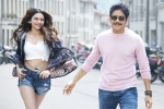 Manmadhudu 2 news, Manmadhudu 2 budget, manmadhudu 2 trailer is packed with entertainment, Manmadhudu 2