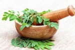 Moringa for good health, Moringa health benefits, is moringa a must have in your diet, With