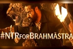 Brahmastra breaking news, Brahmastra budget, ntr turns chief guest for brahmastra event, Back pain
