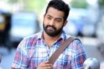 NTR latest, NTR news, official ntr s next film locked, Sardar gabbar singh NTR latest, NTR news, official ntr s next film locked, Sardar gabbar singh