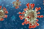 China Covid Row India, China Covid Row review, new china coronavirus variant traced in india, Omicron