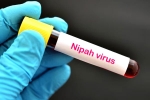 Nipah Virus symptoms, Nipah Virus, nipah virus is back again two deaths registered, Nipah virus