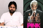 Pawan Kalyan in Pink, Pawan Kalyan next movie, powerstar in talks for pink remake, Pink remake