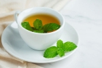 Peppermint Tea latest update, Peppermint Tea news, what happens when you drink peppermint tea every night, Open Peppermint Tea latest update, Peppermint Tea news, what happens when you drink peppermint tea every night, Open