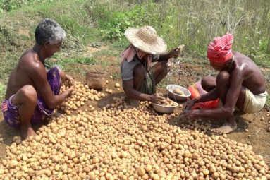 PepsiCo Case: Potato Farmers in Gujarat Seek Compensation for Harassment