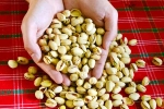 Pistachios latest, Pistachios, pistachios are a perfect protein snack, Pleasure