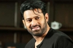 Prabhas, Prabhas Project K, prabhas to join project k from november, Ashwini dutt
