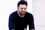 Prabhas updates, Prabhas new film, prabhas to return back to work, Ashwini dutt