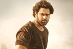 Prabhas and Maruthi new movie, Prabhas and Maruthi new updates, prabhas to romance three heroines, Horror film
