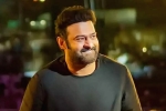 Salaar shoot, Salaar film updates, prabhas back to the sets of salaar, Indian actors