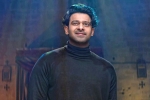 Prabhas latest updates, Prabhas recent pictures, prabhas struggling to cut down his weight, Take rest