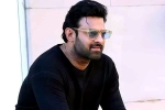 Prabhas25 announcement date, Prabhas25 cast, prabhas to offer a new treat for his fans, Prabhas25