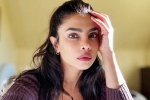 Priyanka Chopra statement, Priyanka Chopra, priyanka chopra breaks silence on don t look for virgin wife comment, Mahesh babu