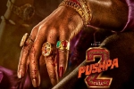 Pushpa: The Rule, Pushpa: The Rule, allu arjun s dedication for pushpa the rule, Inspiration