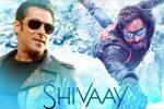 Karan Johar, Salman Khan, salman khan to promote shivaay, Big boss