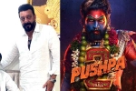 Pushpa: The Rule breaking, Allu Arjun, sanjay dutt s surprise in pushpa the rule, Independence day