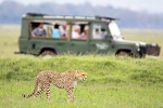 South African Safari Trip total days, South African Safari Trip list, how to plan your south african safari trip, South africa