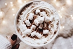 Hot Cocoa, chocolate, spend christmas this year with the best hot cocoa, Hot drink