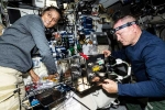 Sunita Williams latest, US Presidential Elections, sunita williams response on being stuck in space, Presidential elections